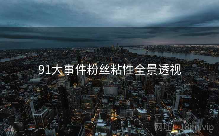 91大事件粉丝粘性全景透视
