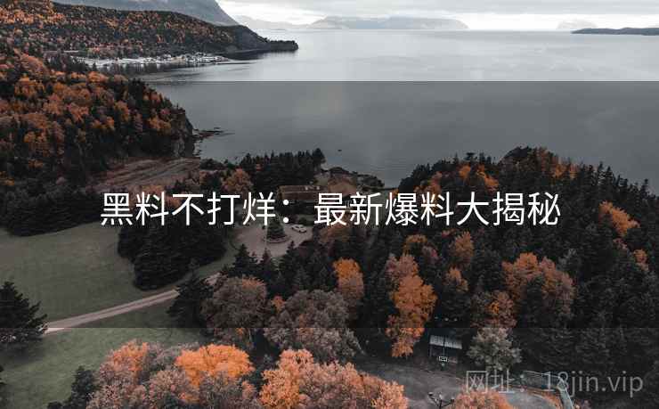 黑料不打烊：最新爆料大揭秘