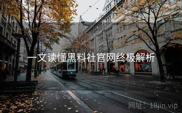 一文读懂黑料社官网终极解析