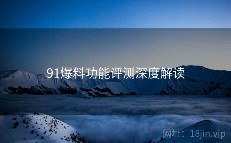91爆料功能评测深度解读