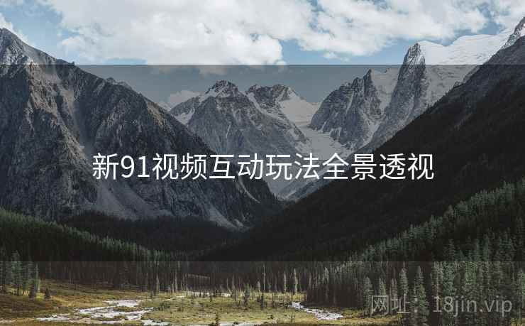 新91视频互动玩法全景透视