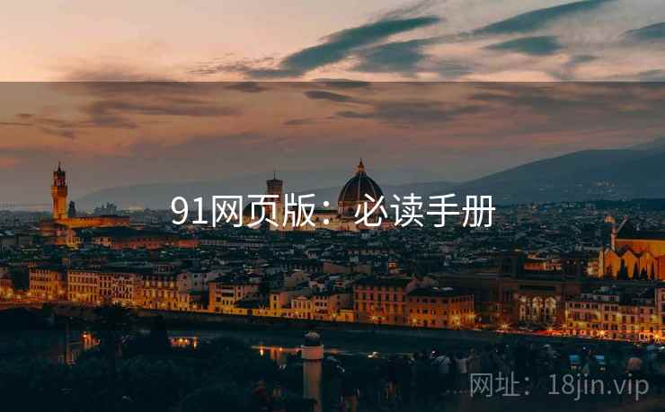91网页版：必读手册