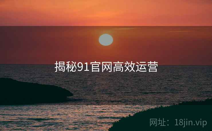 揭秘91官网高效运营