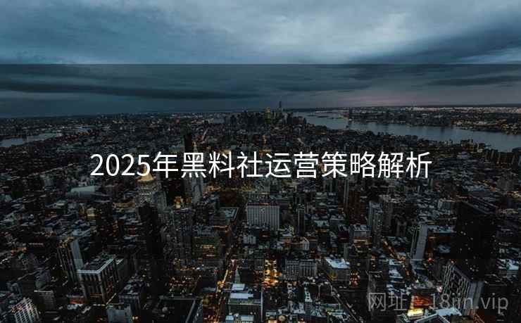 2025年黑料社运营策略解析
